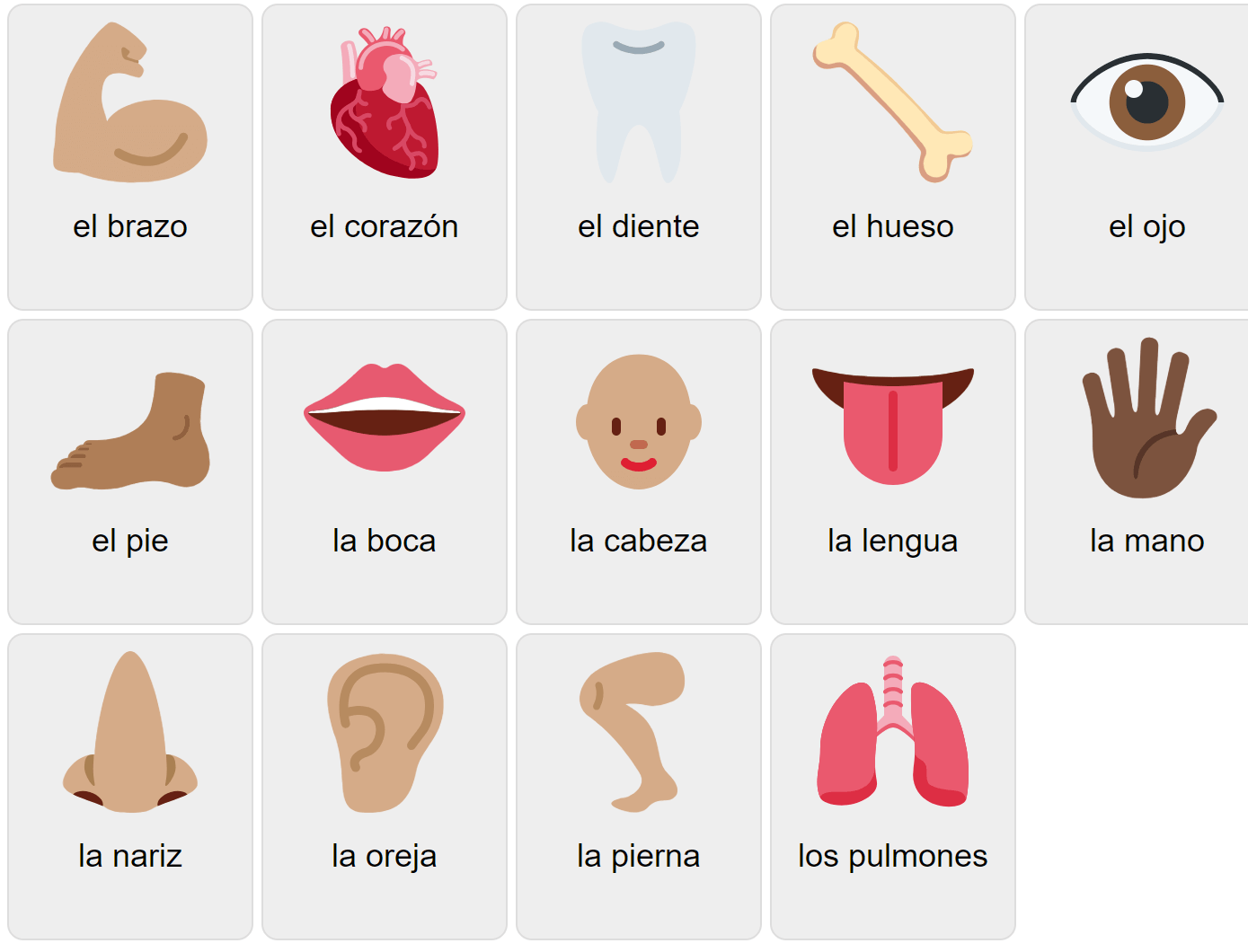 Частини тіла на іспанській мові