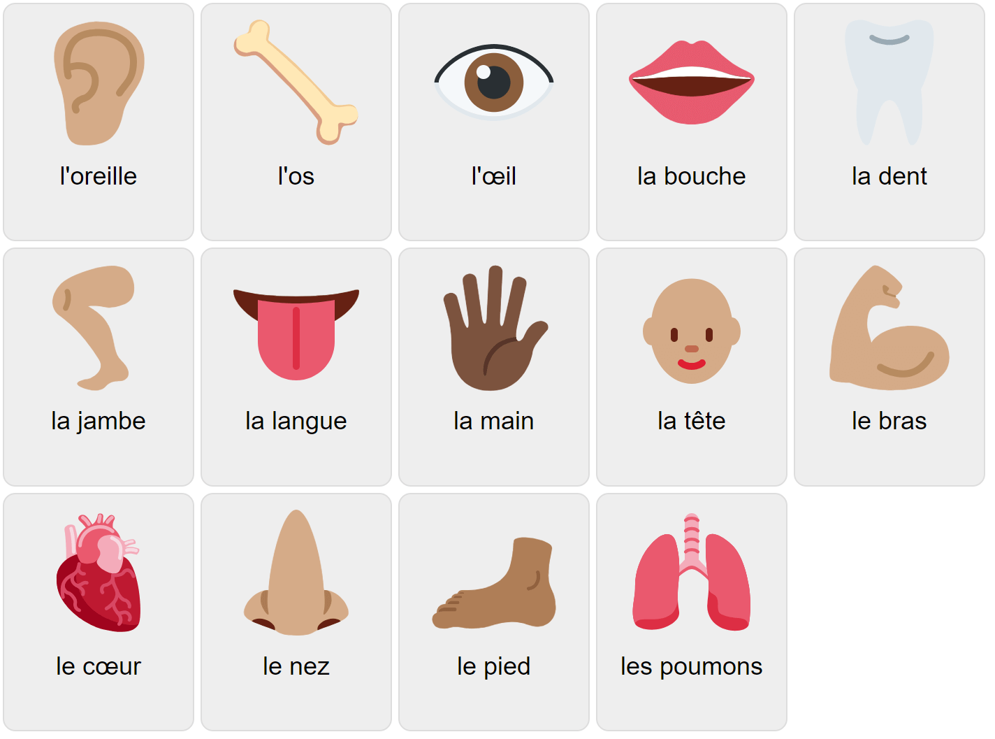 Körperteile auf Französisch