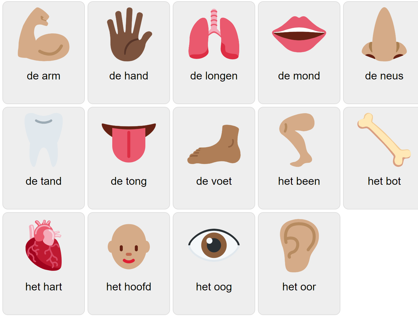 Körperteile auf Niederländisch