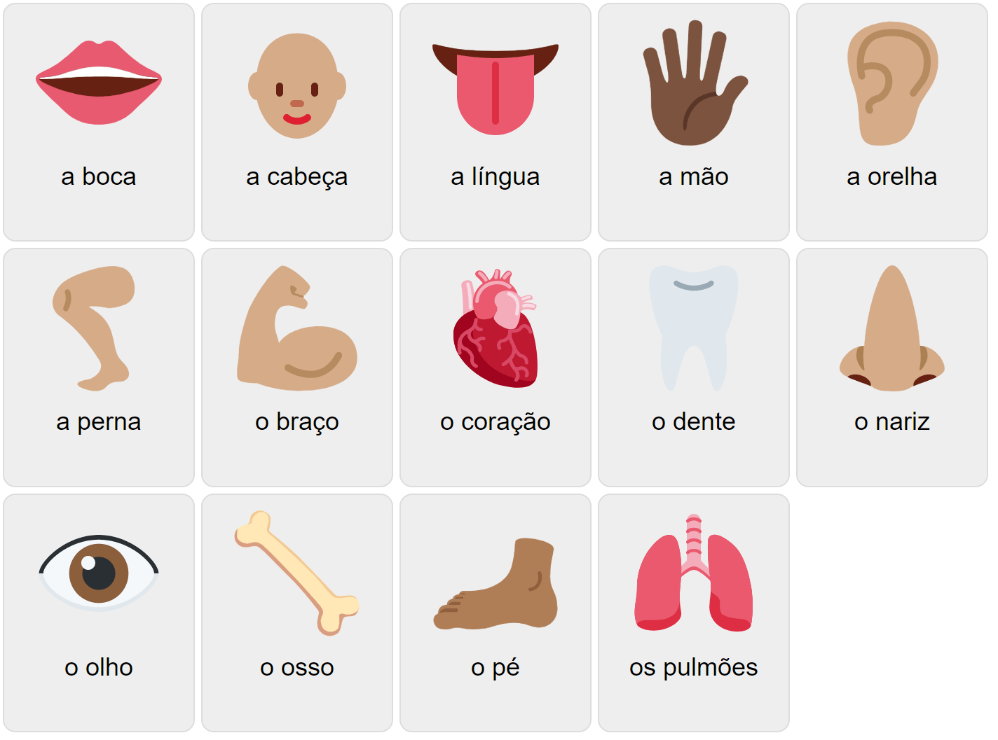 Kroppsdelar på portugisiska