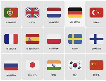 🥕Carrot in different languages
