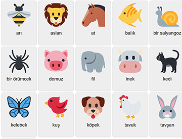 Animals in Turkish