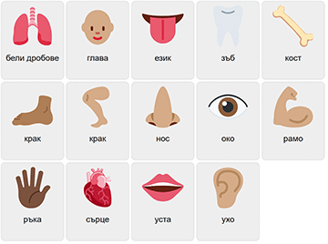 Body Parts in Bulgarian