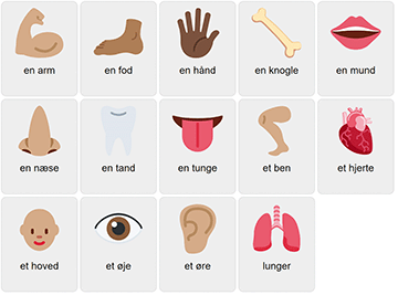 Body Parts in Danish