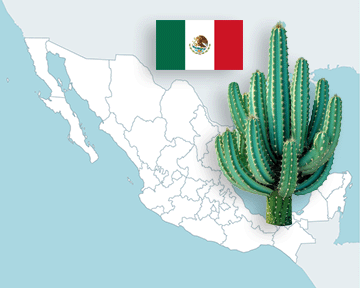 Mexico: States