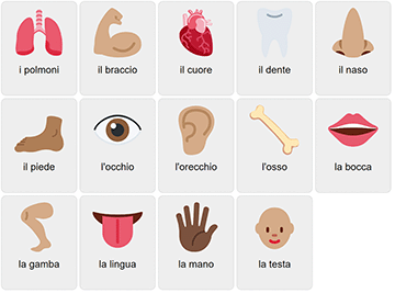 Partes del cuerpo en italiano