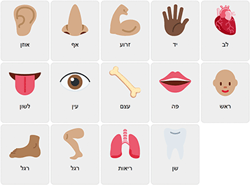 Body Parts in Hebrew