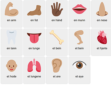 Body Parts in Norwegian