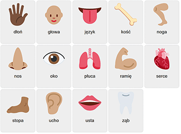 Body Parts in Polish