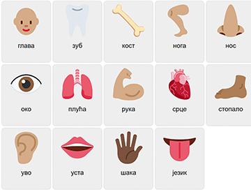 Body Parts in Serbian