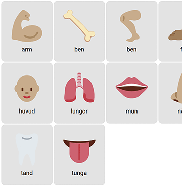 Body Parts in Swedish