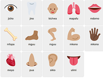 Body Parts in Swahili