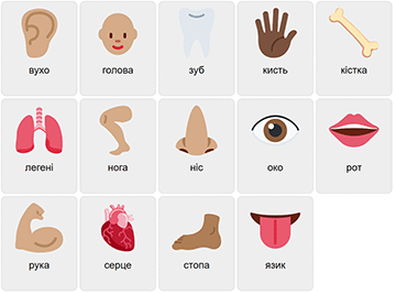 Body Parts in Ukrainian