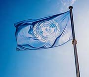 193 UN Member States