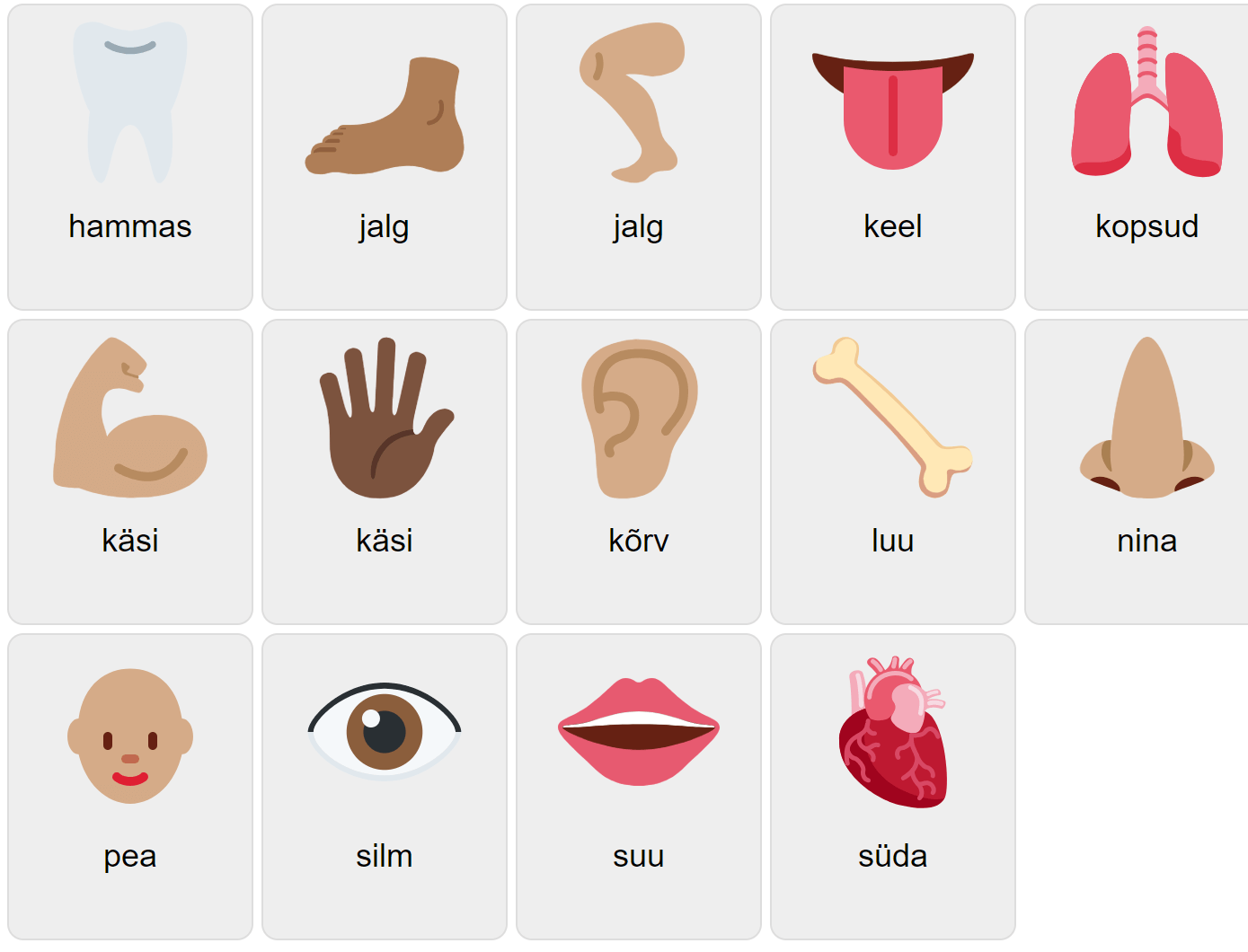 Body Parts in Estonian