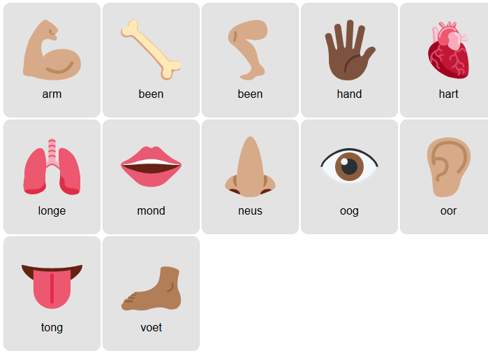 Body Parts in Afrikaans