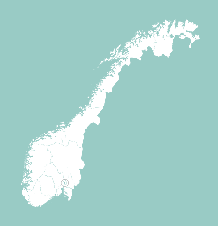 Norge: fylken